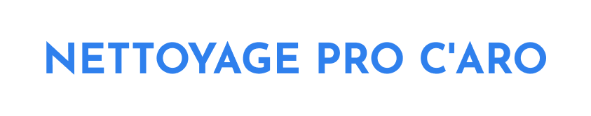 Nettoyage Pressing Caro Pressing A Fargues Logo 2